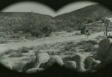 Six-Shooter Sweepstakese