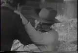 Richard Diamond, Private Detective