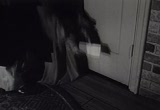 Breakoute