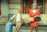 Lucy Meets the Lawe